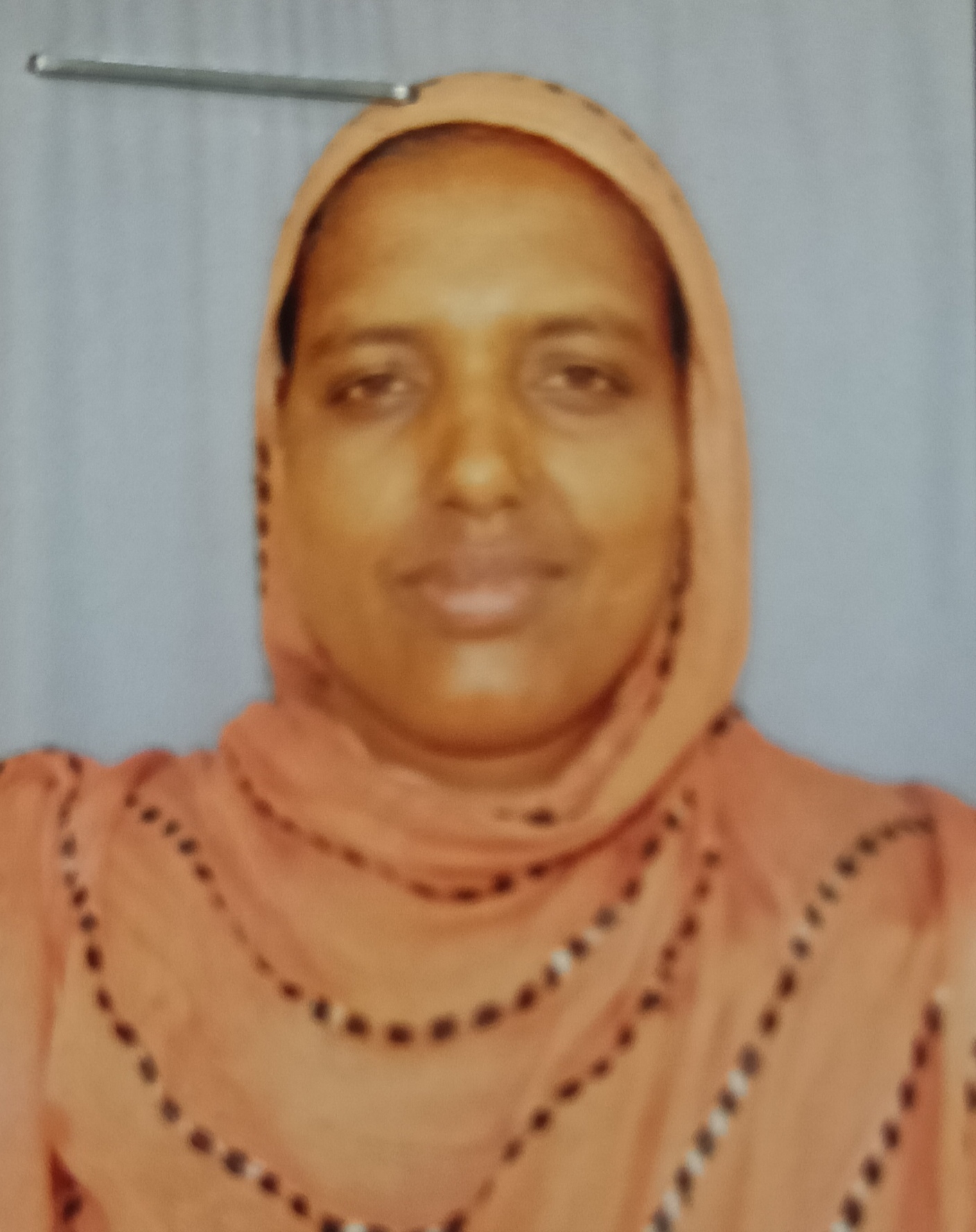 Goleja bibi
