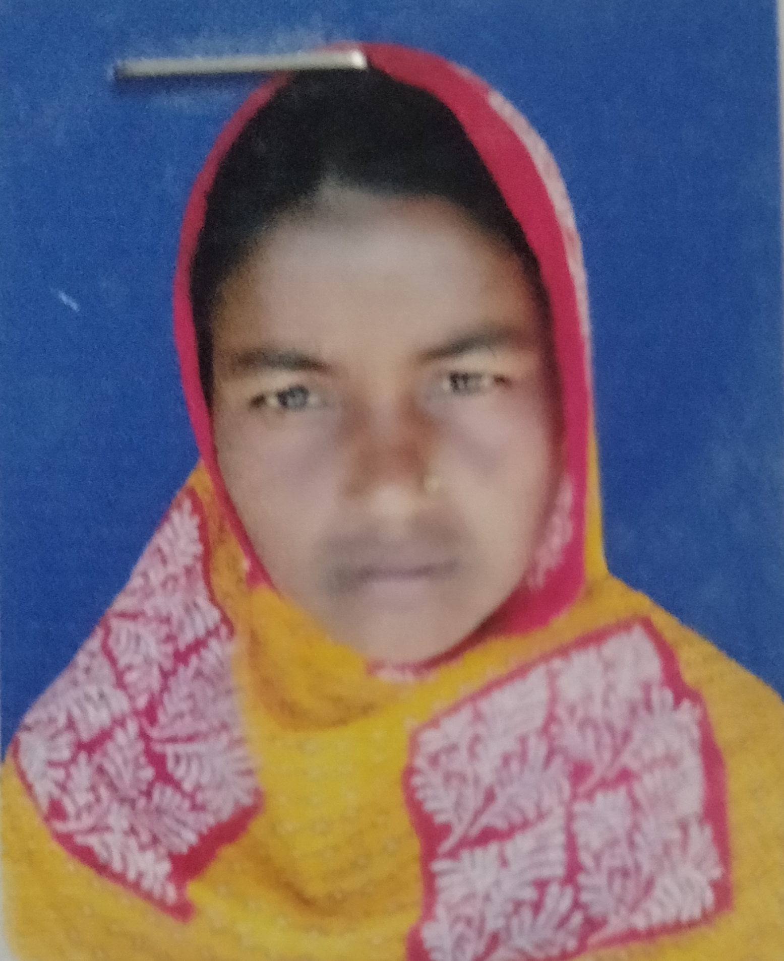 Jarina Bibi